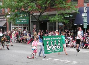 Strolling of the Heifers, 7Jun08